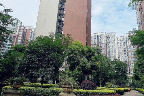 光华碧邻优点 不足,光华碧邻怎么样,光华碧邻周边房产中介经纪人评价