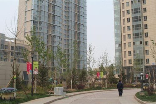 梧桐大道优点 不足,梧桐大道怎么样,梧桐大道周边房产中介经纪人评价