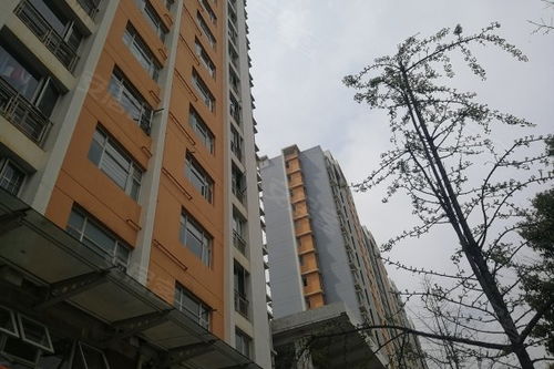怡泰A区优点 不足,怡泰A区怎么样,怡泰A区周边房产中介经纪人评价