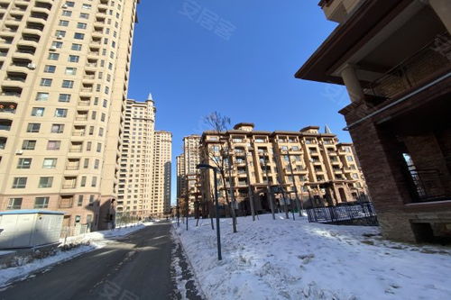 东地天澜优点 不足,东地天澜怎么样,东地天澜周边房产中介经纪人评价
