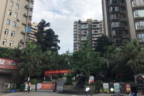 广厦城巢上 二期 优点 不足,广厦城巢上 二期 怎么样,广厦城巢上 二期 周边房产中介经纪人评价