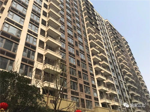 二手房报价破26000元 ㎡ 江北新区大盘交付,房价两年涨10000元 ㎡
