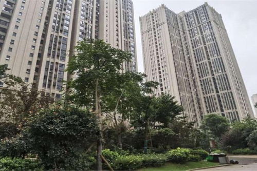 天鸿天府优点 不足,天鸿天府怎么样,天鸿天府周边房产中介经纪人评价