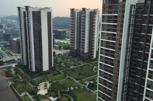 万科东荟城优点 不足,万科东荟城怎么样,万科东荟城周边房产中介经纪人评价