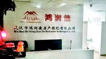 山东正严打的黑恶势力,可能跟你想的不一样