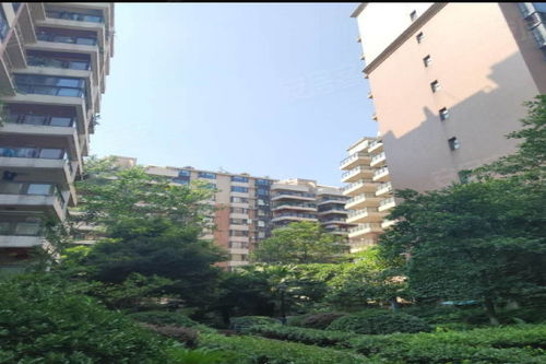 美洲花园优点 不足,美洲花园怎么样,美洲花园周边房产中介经纪人评价