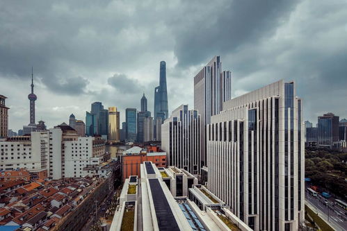 深圳楼市 中考成绩对楼市的影响,这几个学校有望冲出黑马