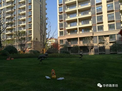 二手房价突破20000元 ㎡,江北新区大盘首批交付,实景图曝光