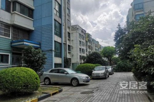 樱花路89弄小区优点 不足,樱花路89弄小区怎么样,樱花路89弄小区周边房产中介经纪人评价