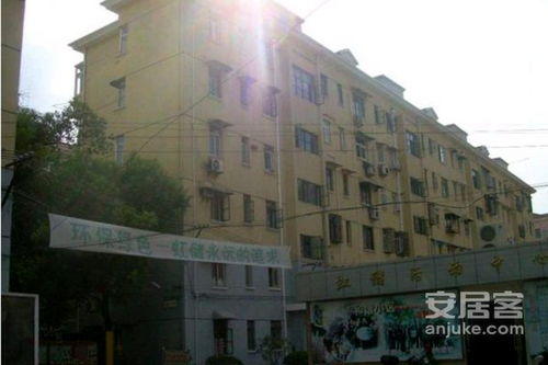 虹储小区优点 不足,虹储小区怎么样,虹储小区周边房产中介经纪人评价