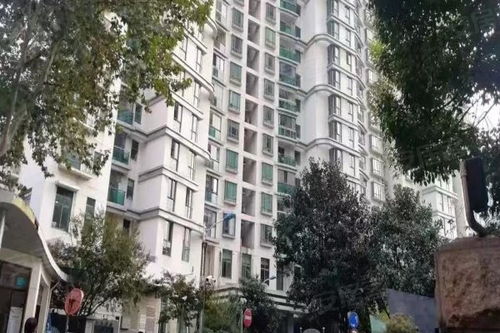 思南新苑优点 不足,思南新苑怎么样,思南新苑周边房产中介经纪人评价