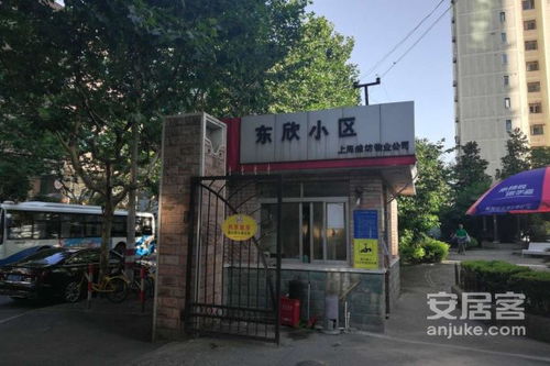东欣小区优点 不足,东欣小区怎么样,东欣小区周边房产中介经纪人评价