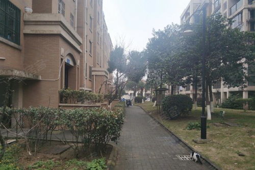 京口花园优点 不足,京口花园怎么样,京口花园周边房产中介经纪人评价 镇江安居客
