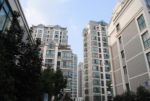 重点城市二手房价下跌,广东里的这个市跌幅居于榜首