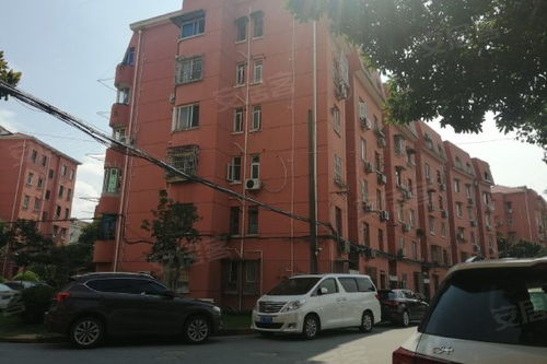 新华小区老闵行 优缺点与周边中介服务解析