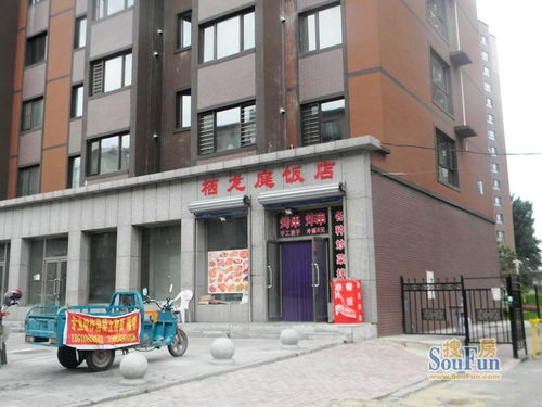 栖龙庭房产服务全解析 二手房交易与租房指南