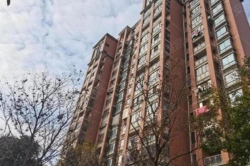 安亭名邸综合评析 优点、不足与周边房产中介服务