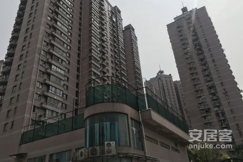 新中苑生活大师 居住体验深度解析与周边房产中介服务观察