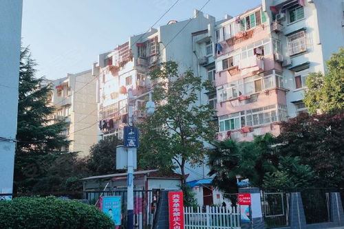 琥珀山庄综合评测 优势与不足，以及周边中介服务观察