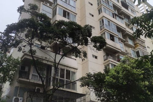 龙锦雅苑深度解析 社区优劣、居住体验与周边中介服务评价